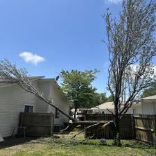 Fast-Safe-and-Efficient-Tree-Services 1